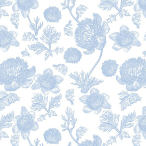 Edda Toile blueberry 1