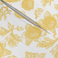 Edda Toile citrus 1