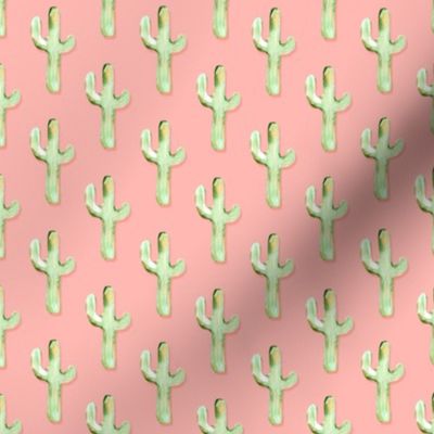 Arizona Cactus on Pink