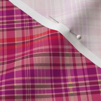 Cherry and Grape Madras Plaid