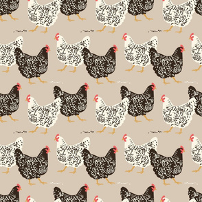 farmhouse chickens B-01
