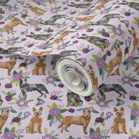 australian cattle dog (smaller) pet quilt c cheater quilt florals coordinate fabric