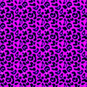 Cool Purple Leopard