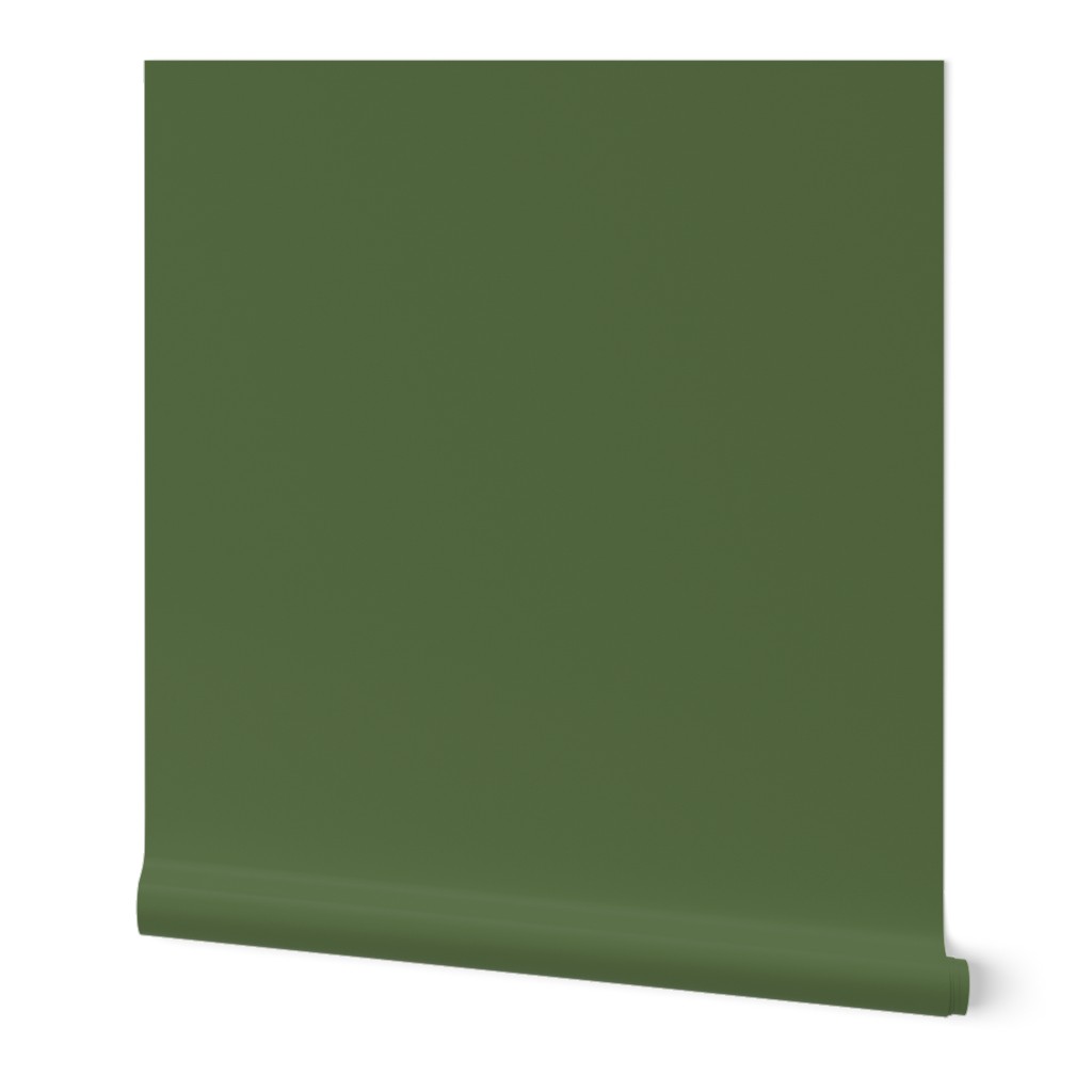 solid saturated terre verte green (576B43)