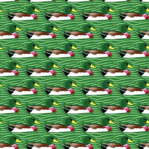 Ducks in a row - green