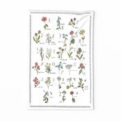 abc wildflowers tea towel linen cotton canvas nature floral