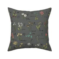abc wildflowers botanical floral  pewter