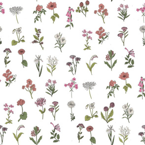 wildflowers nature botanical flower fabric pink