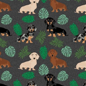 dachshund tropical monstera leaves dog breed fabric dark