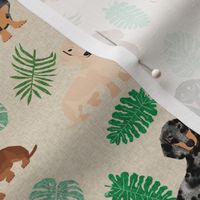 dachshund tropical monstera leaves dog breed fabric tan