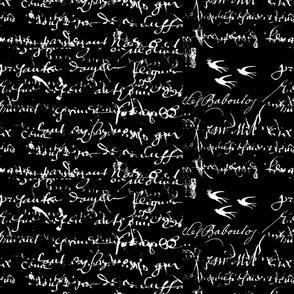 White French script on black with birds