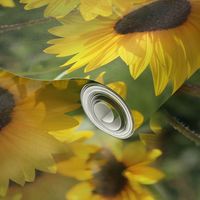 Sunflower Garden