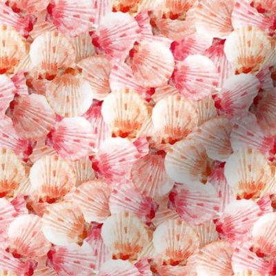 Lots of Scallop Shells in Watercolor