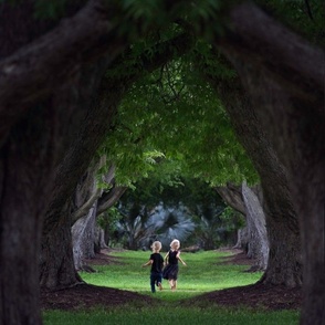 A Tree Tunnel Adventure