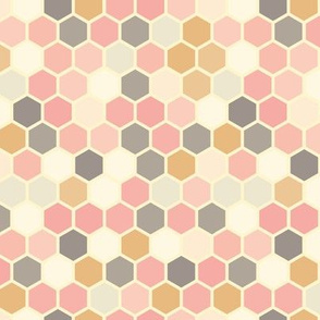 18-07Q Hexagon Blush pink rose gray mustard 