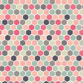 18-07N Hexagon Blush Pink  Aqua Green Gray  Peach 