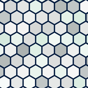 18-07C Hexagon Navy Blue Gray White Dots Mint Green 