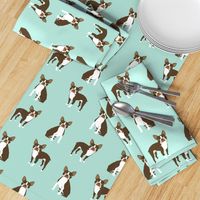 boston terrier brown coat dog breed fabric  mint