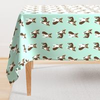 boston terrier brown coat dog breed fabric  mint