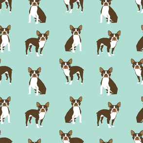 boston terrier brown coat dog breed fabric  mint