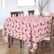 boston terrier brown coat dog breed fabric  pink