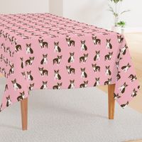 boston terrier brown coat dog breed fabric  pink