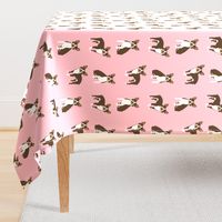 boston terrier brown coat dog breed fabric  pink