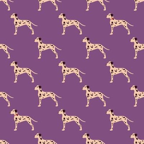 Vintage Matchbox Dalmatians - Violet