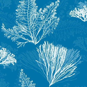 Ocean Flora in Cerulean Blue