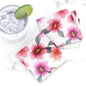 Watercolor floral // hibiscus flowers on white