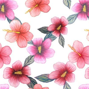 Watercolor floral // hibiscus flowers on white