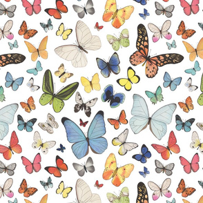 Reversed Watercolor Butterflies