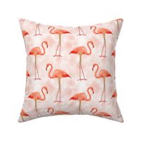 Flamingos on Peach Sky