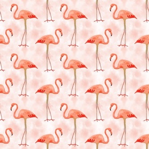 Flamingos on Peach Sky