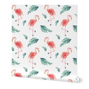 IBD Flamingo PLAM B