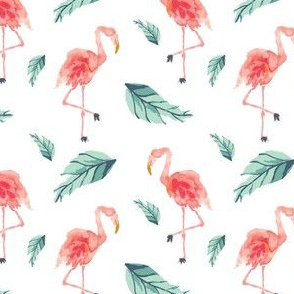 IBD Flamingo PLAM B