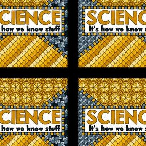 Science: It's How We Know Stuff - Gold/Steel