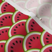 Watermelon Slices small