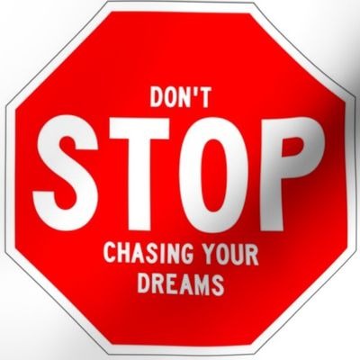 19 red white road signs traffic signs Graffiti vandalism vandalize pop art don't stop chasing your dreams inspirational messages