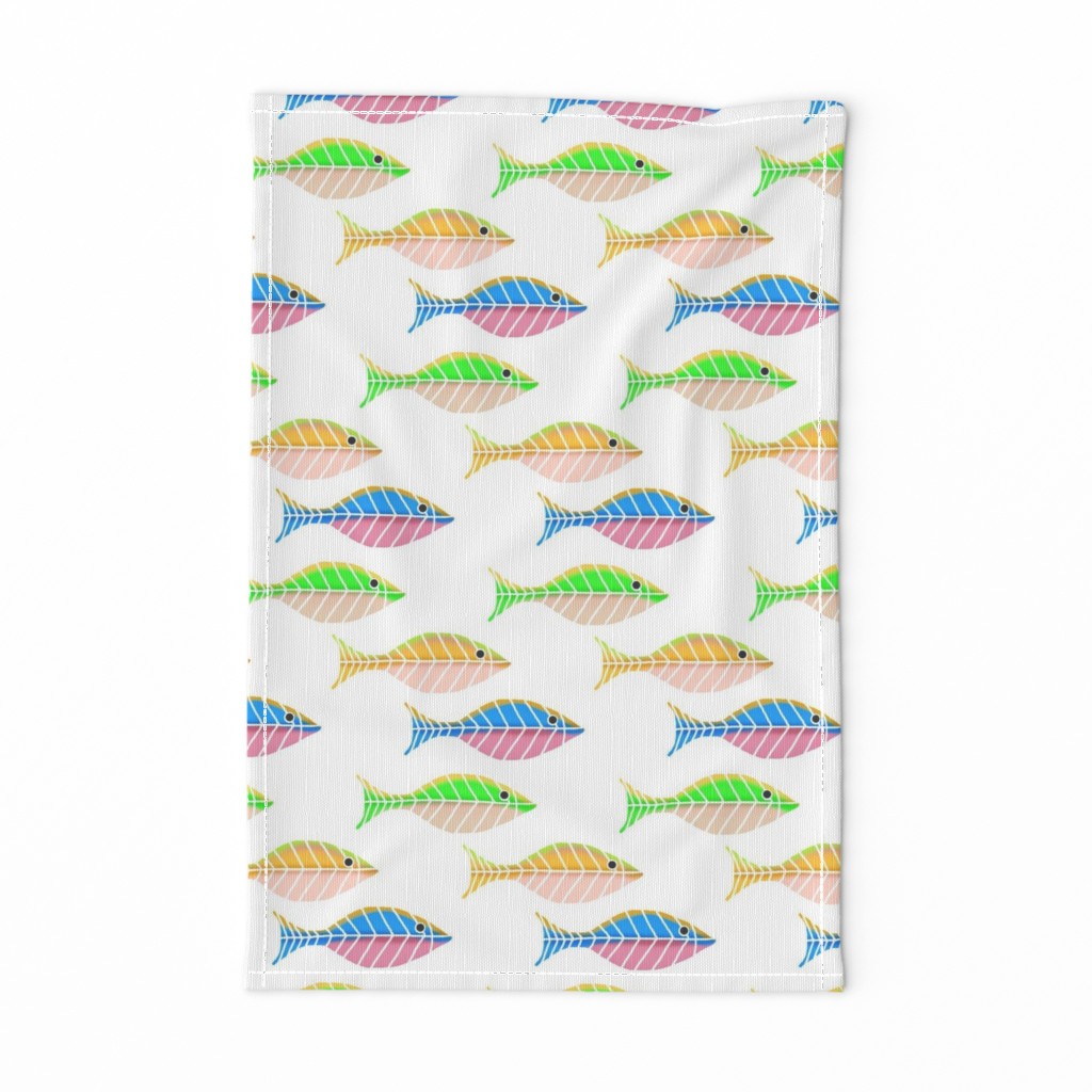 Colorful Swimmers / fish