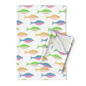 Colorful Swimmers / fish