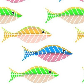 Colorful Swimmers / fish