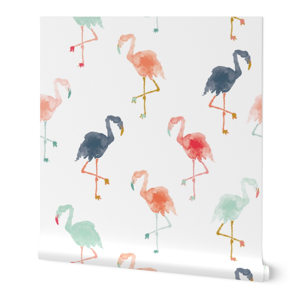 IBD Flamingos B