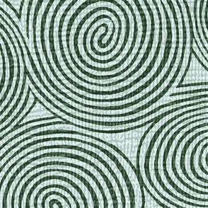 spirals-lichen_logs