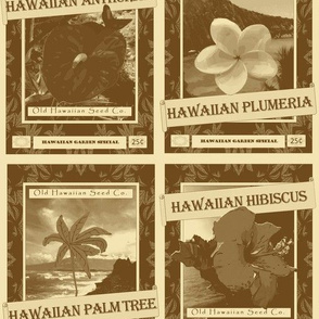 Hawaiian Gardening Seed Packets in Sand and Clay Colors
