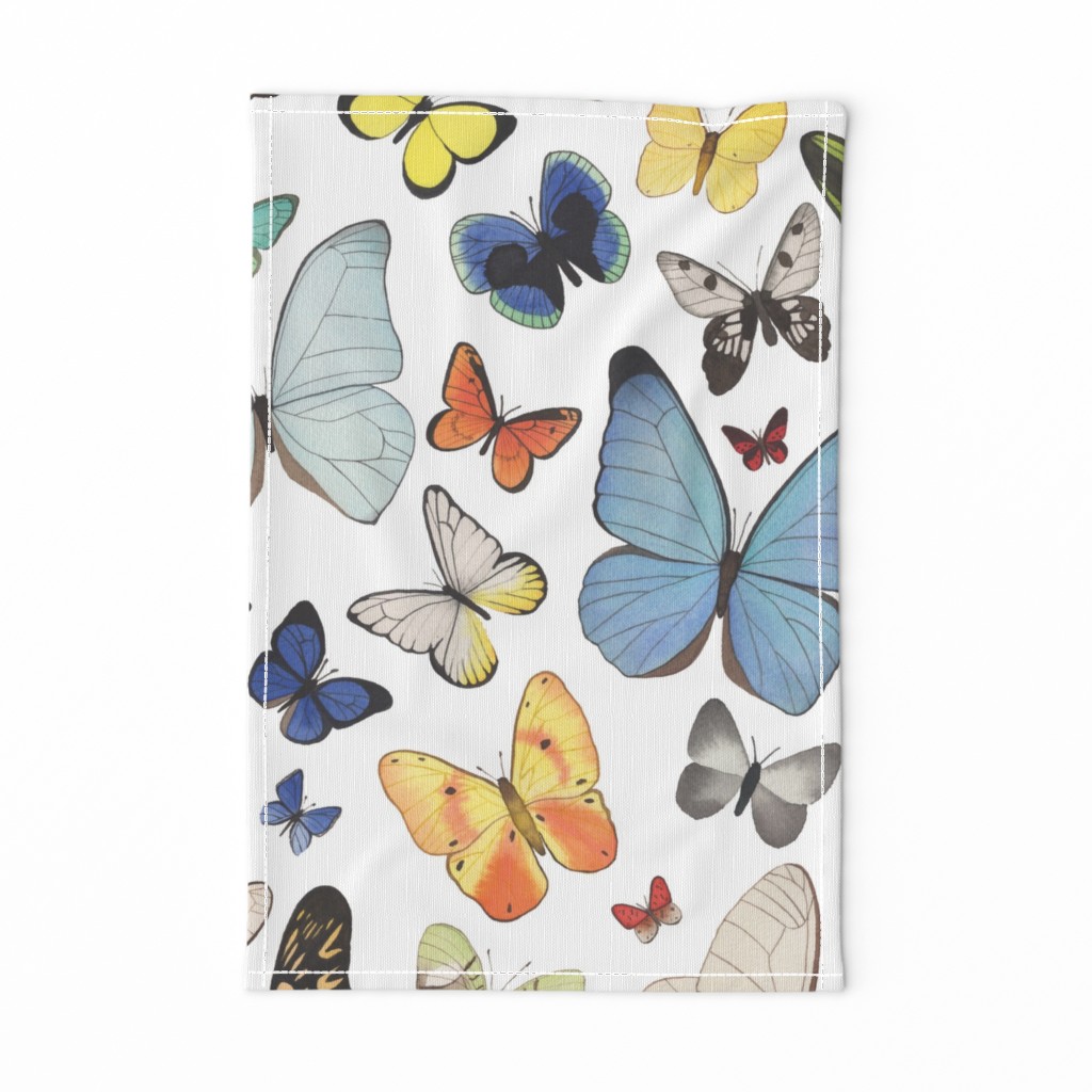 Very Large Scale Watercolor Butterflies