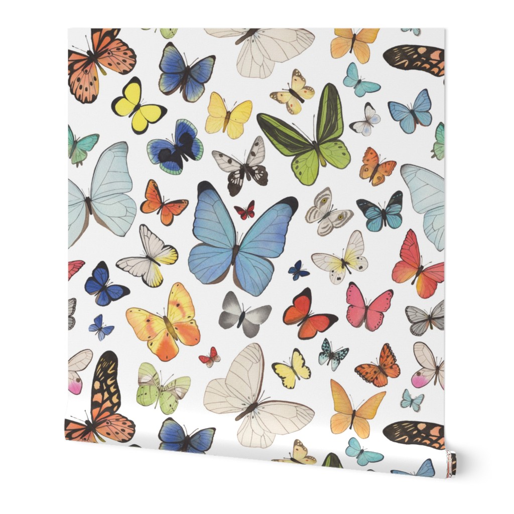 Very Large Scale Watercolor Butterflies