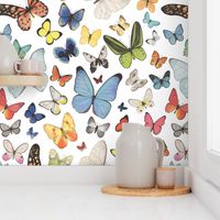 Very Large Scale Watercolor Butterflies