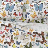 Very Large Scale Watercolor Butterflies