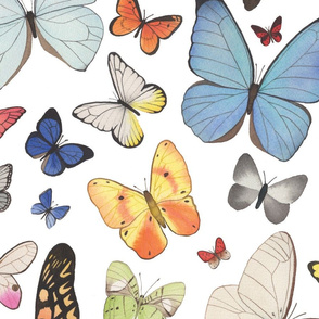 Very Large Scale Watercolor Butterflies